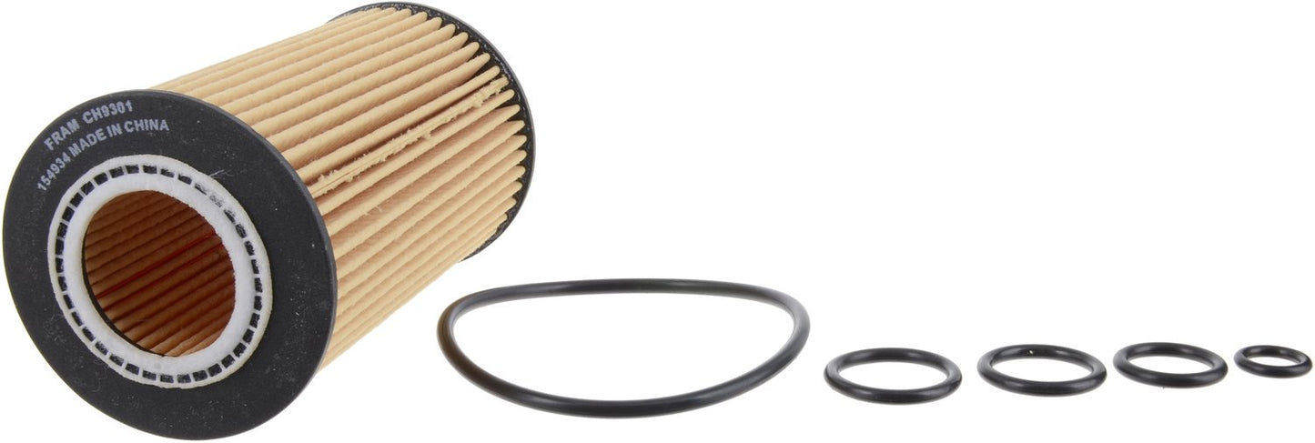 FRAM CH9301 Heavy Duty Cartridge Oil Filter