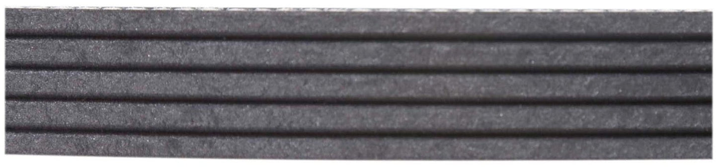 Continental Elite 4050272S Poly-V/Serpentine Stretch Belt Assorted One Size