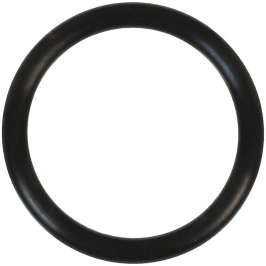 FEL-PRO 421 O-Ring
