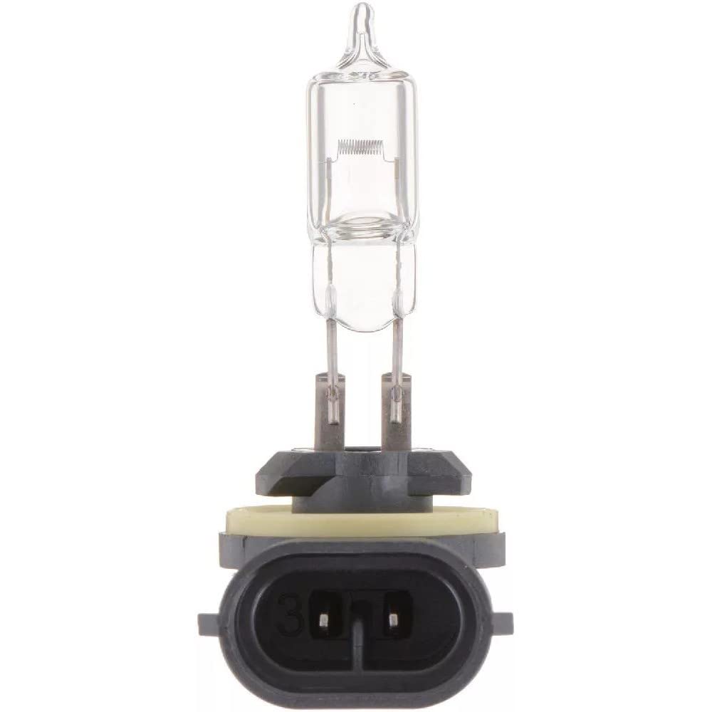 Philips Automotive Lighting 894 Standard Fog Bulb (Pack of 1)
