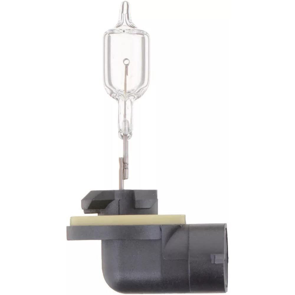 Philips Automotive Lighting 894 Standard Fog Bulb (Pack of 1)