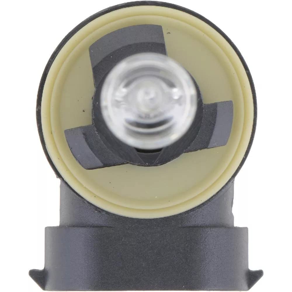 Philips Automotive Lighting 894 Standard Fog Bulb (Pack of 1)