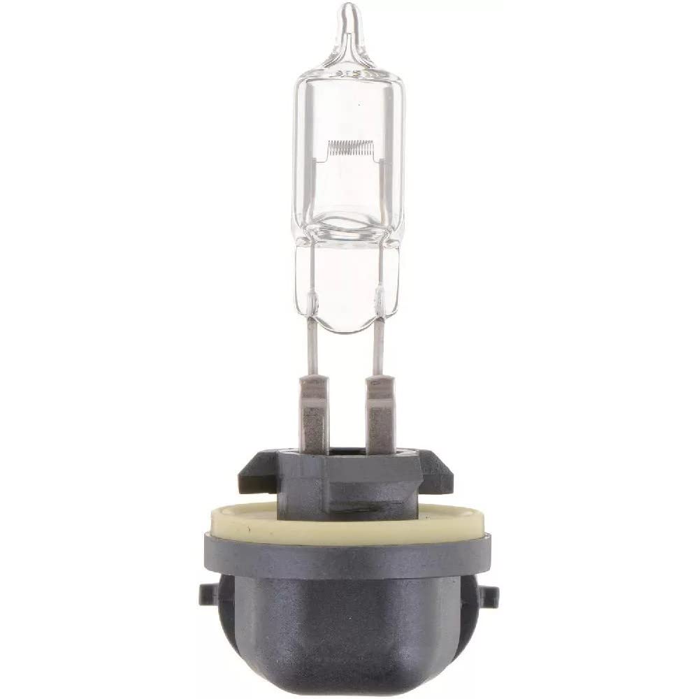 Philips Automotive Lighting 894 Standard Fog Bulb (Pack of 1)