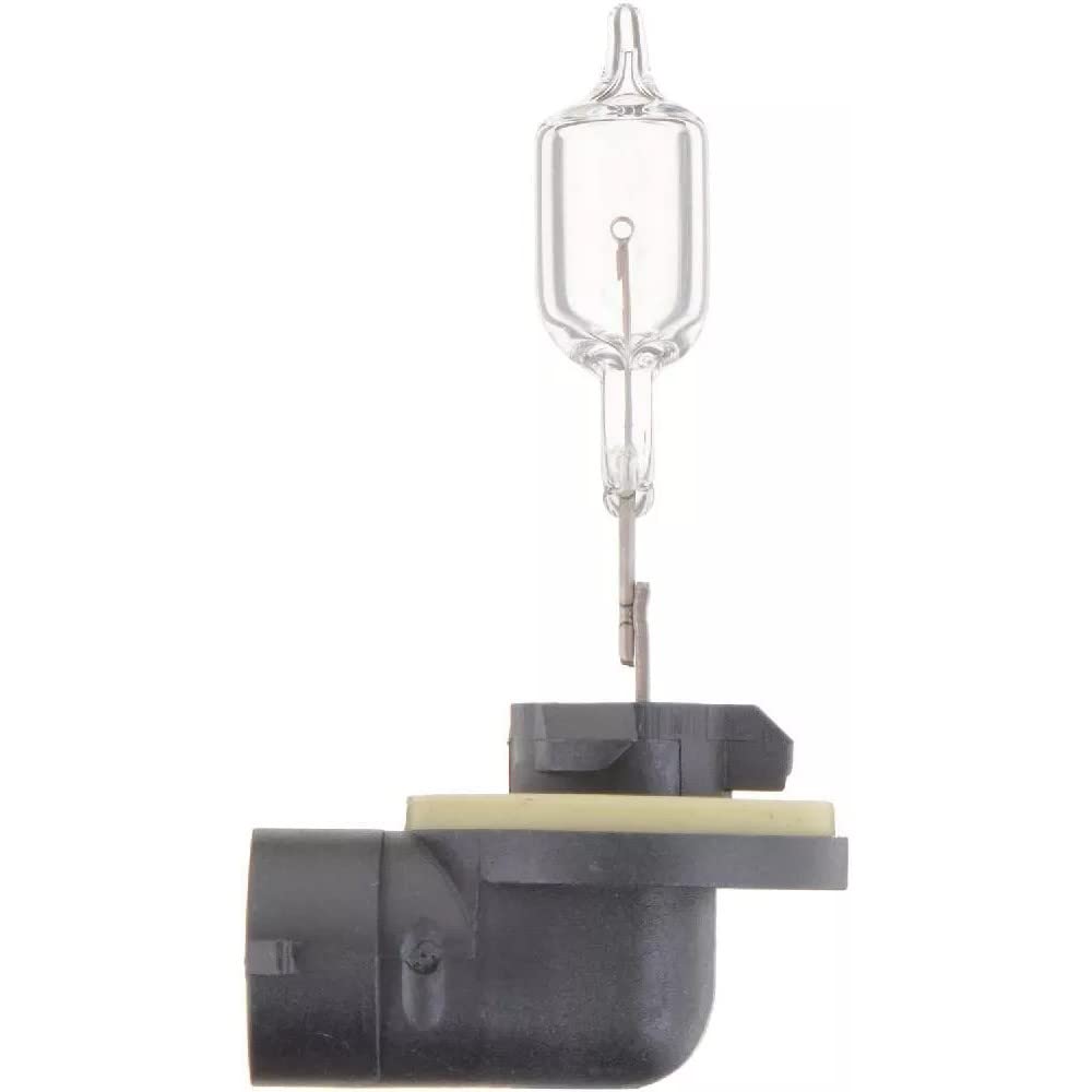 Philips Automotive Lighting 894 Standard Fog Bulb (Pack of 1)