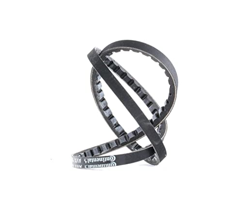 Continental 10X875 Accessory Drive Belt
