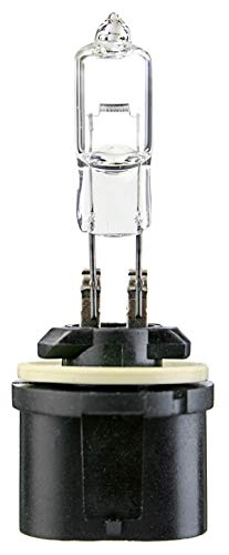 Halogen Bulb