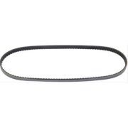 Continental OE Technology Series 4040350 4-Rib, 35.0'' Multi-V Belt
