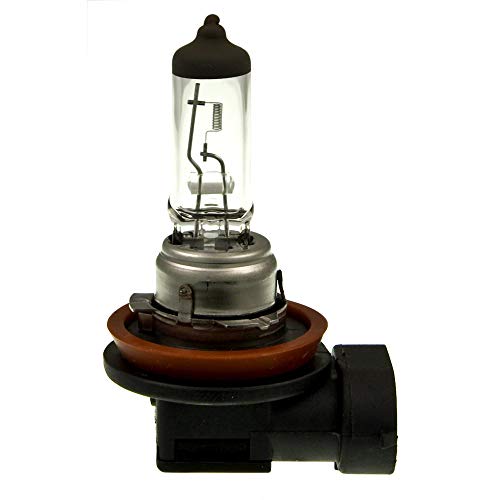 Champion BP1235H8 Light Bulb - Multi-Purpose, 1 Pack