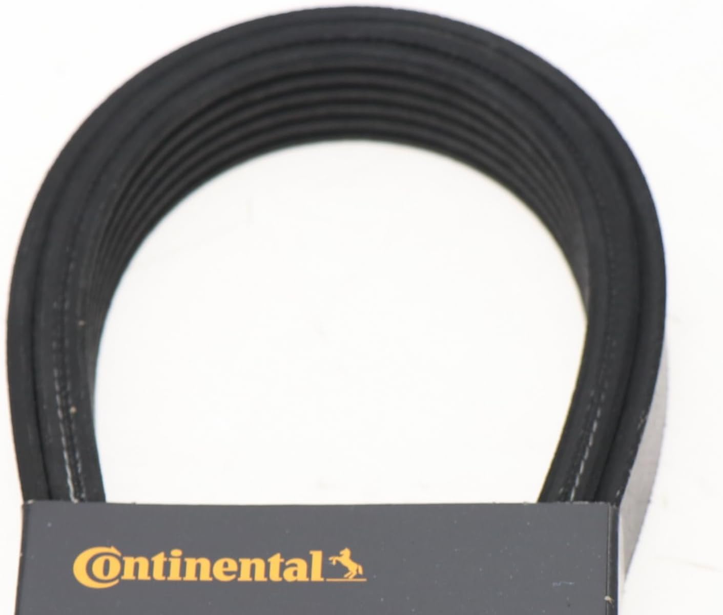 Continental V-Belt for 2020-2021 Freightliner MT45 - 4060987