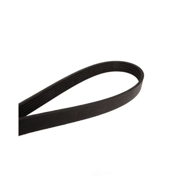 Continental Poly-V Belt (4060562F)