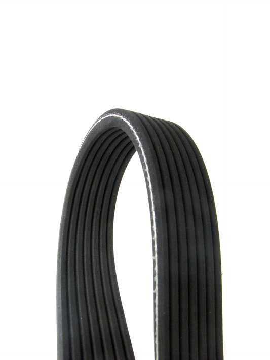 Continental D4070535 Dual-Sided Poly-V/Serpentine Belt