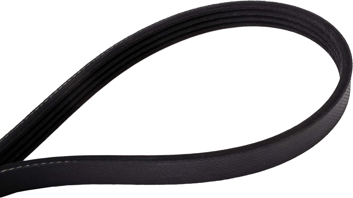Continental Elite 4040373S Poly-V/Serpentine Stretch Belt Assorted One Size